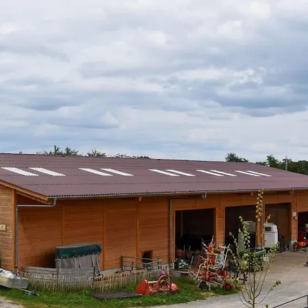 Ferienwohnung Auf Aussiedlerhof Mit Pferdepension アパート ガイエンホーフェン