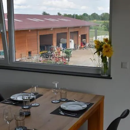 Ferienwohnung Auf Aussiedlerhof Mit Pferdepension ガイエンホーフェン